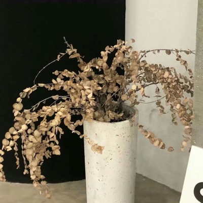 博兴FurryQQ群介绍